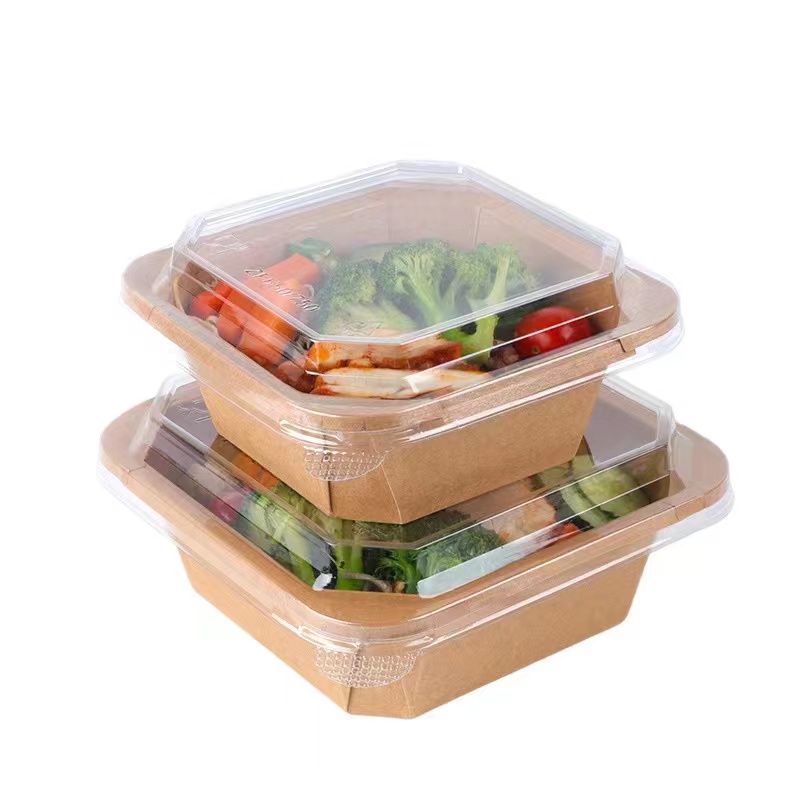 more information about disposable paper tableware