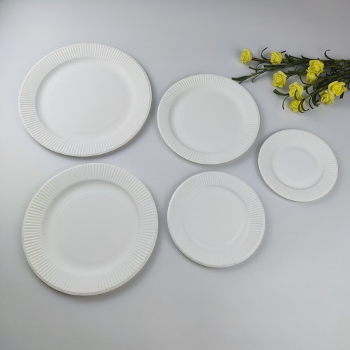 Disposable Paper Plates