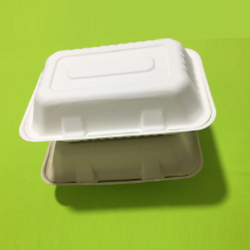 bagasse trays