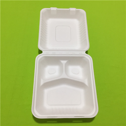 eco friendly lunch boxes