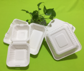 sugarcane bagasse tableware items