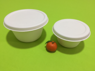 bagasse tableware