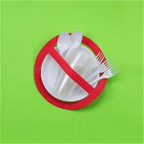 sugarcane bagasse tableware