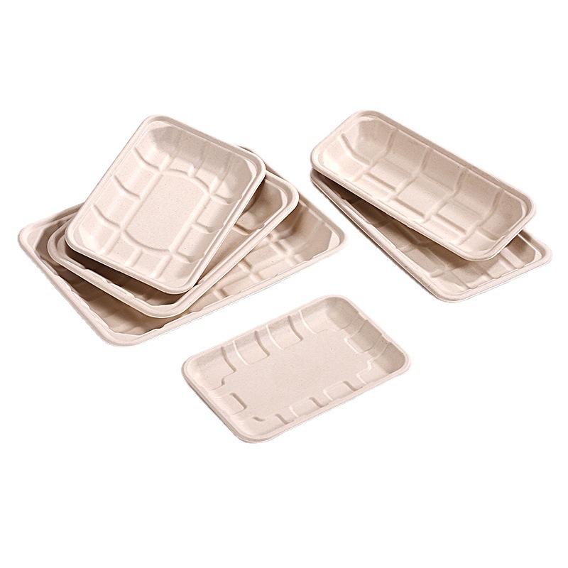bagasse food containers