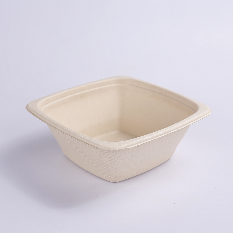bagasse bowl