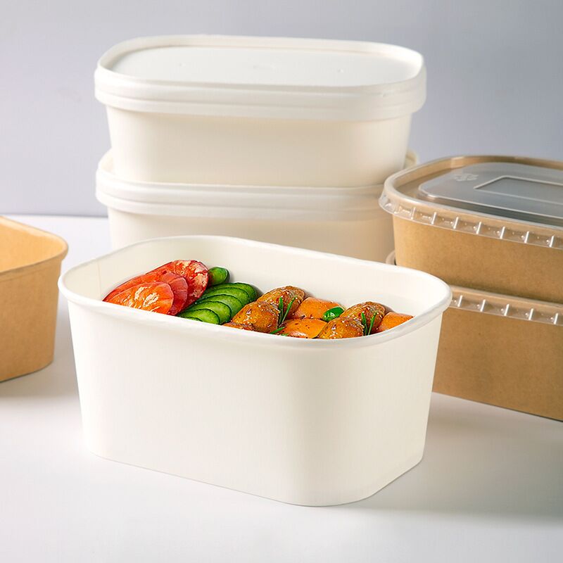 disposable paper food containers