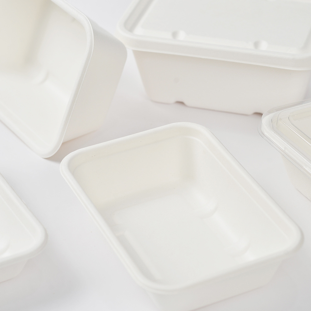 sugarcane bagasse tableware