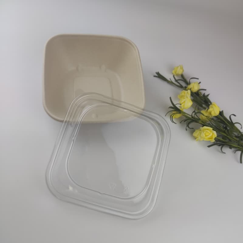 bagasse square bowl